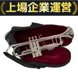 B&S  Challenger 3137/BACH 3C
