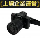 Panasonic LUMIX DC-G100D 一眼レフカメラ H-FS45150 H-FS12032 レンズセット 訳有