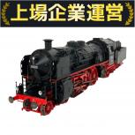 FLEISCHMANN   71118