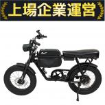 FLOW  ELECTRIC BIKE