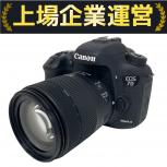 Canon   EOS 7D MARK II / ZOOM LENS EF-S 18-135mm 1:3.5-5.6 IS STM