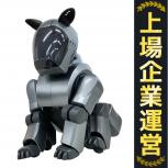 Sony ソニー ERS-210 aibo アイボ