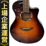YAMAHA  APX500