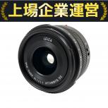 Panasonic  H-X015
