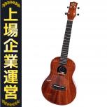 KIWAYA   KPT-1K/E