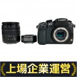 Panasonic   LUMIX GH3