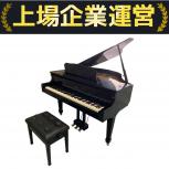 Roland  GP609