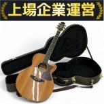 Takamine   DMP500KC-DC