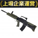 ICS (外観判断)  