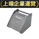 Roland   PM-100