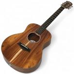 Taylor   Mini-e KOA