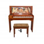 Roland    C-30