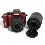 Panasonic   DMC-G2