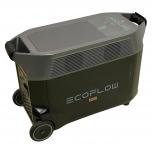 EcoFlow  DELTA pro