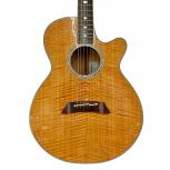 Takamine ギター NPT-115