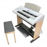 YAMAHA ステージア ELB-02