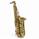 Antigua Winds   不明
