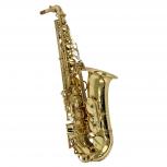Yanagisawa  991
