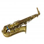 Selmer   reference 54