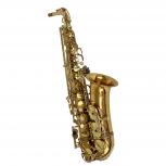 Yanagisawa   A-902