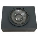 Pioneer   TS-W1000RS 