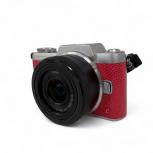  Panasonic   DMC-GF7