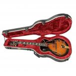 Ibanez  GB-10