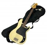 Fender  PRECISION BASS