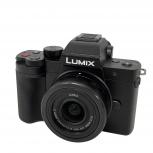 Panasonic  DC-G100DV
