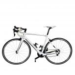 COLNAGO  