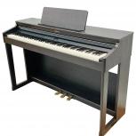 Roland   RP701