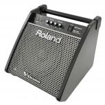 Roland  PM-100