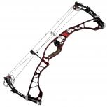 HOYT   スパイダー 34 RKT