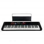 CASIO   CT-S1000V/