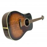 TAKAMINE   TS-600 