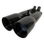 笠井トレーディング   SUPER-BINO 100LDII