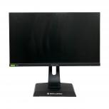 IODATA  LCD-GC252UXB-A 