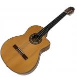 ARIA  A-120F-CWE