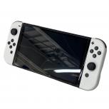 Nintendo  HEG-001
