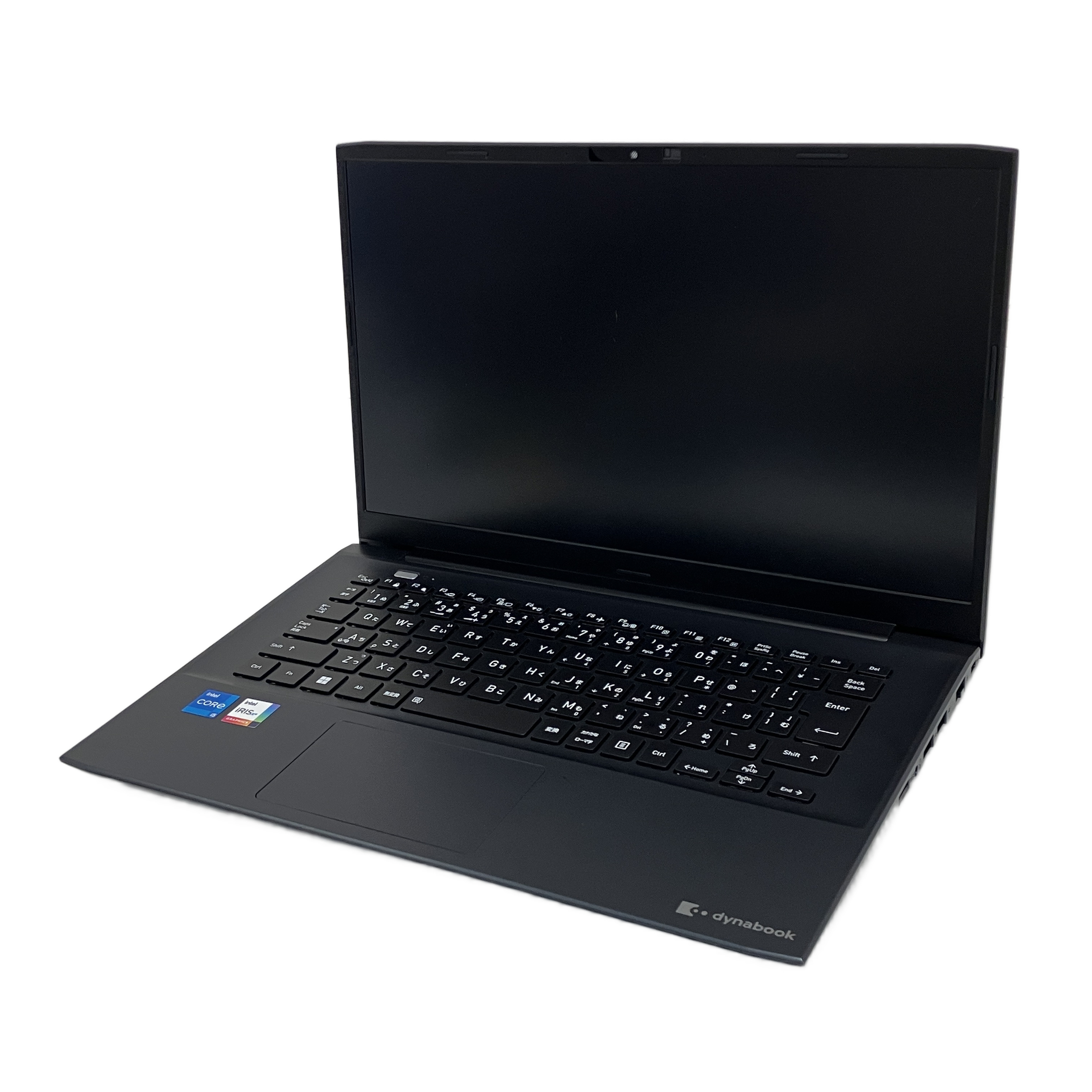 Dynabook   P3-M6XL-EE