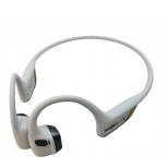 Shokz SHOKZ S820