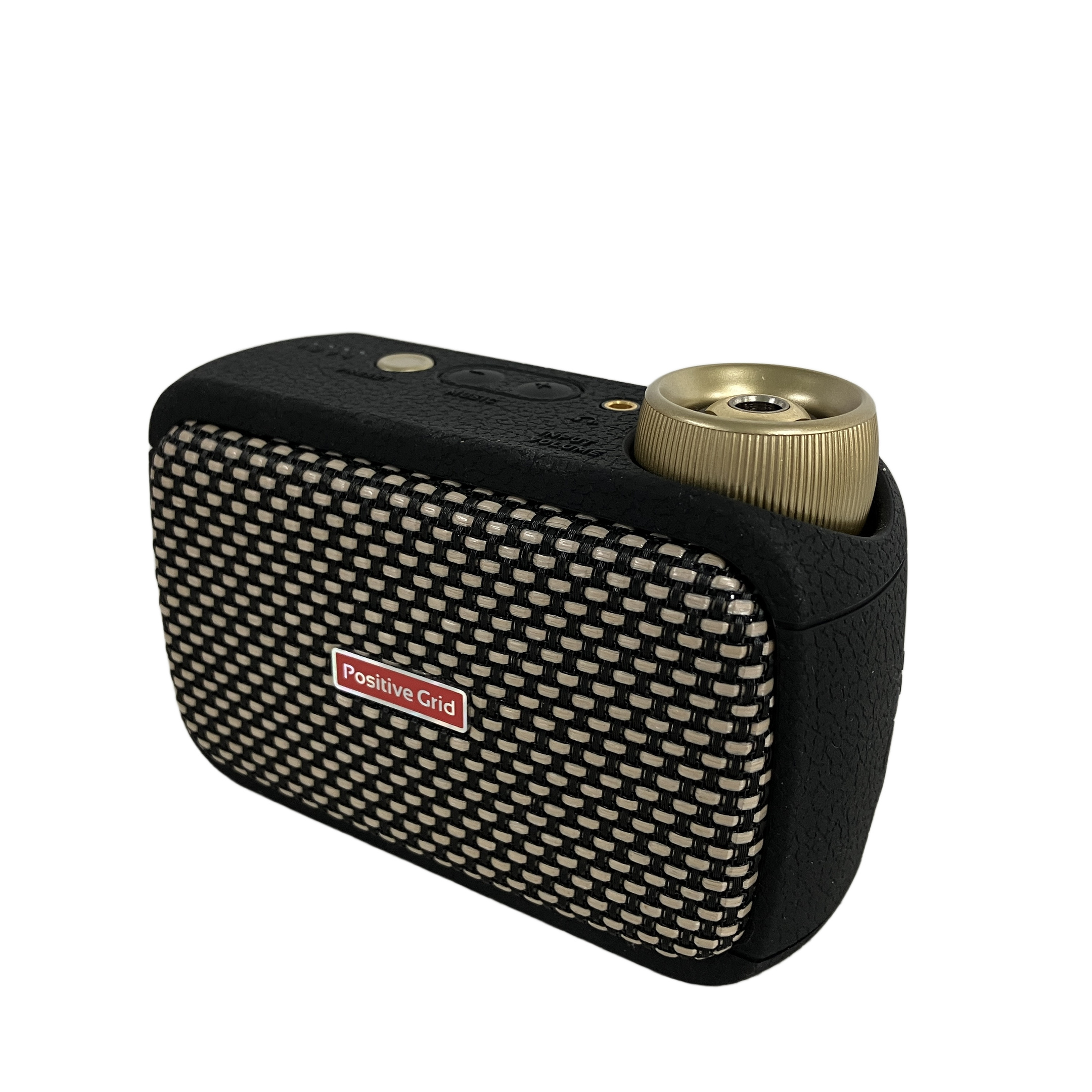 Positive Grid  Spark GO