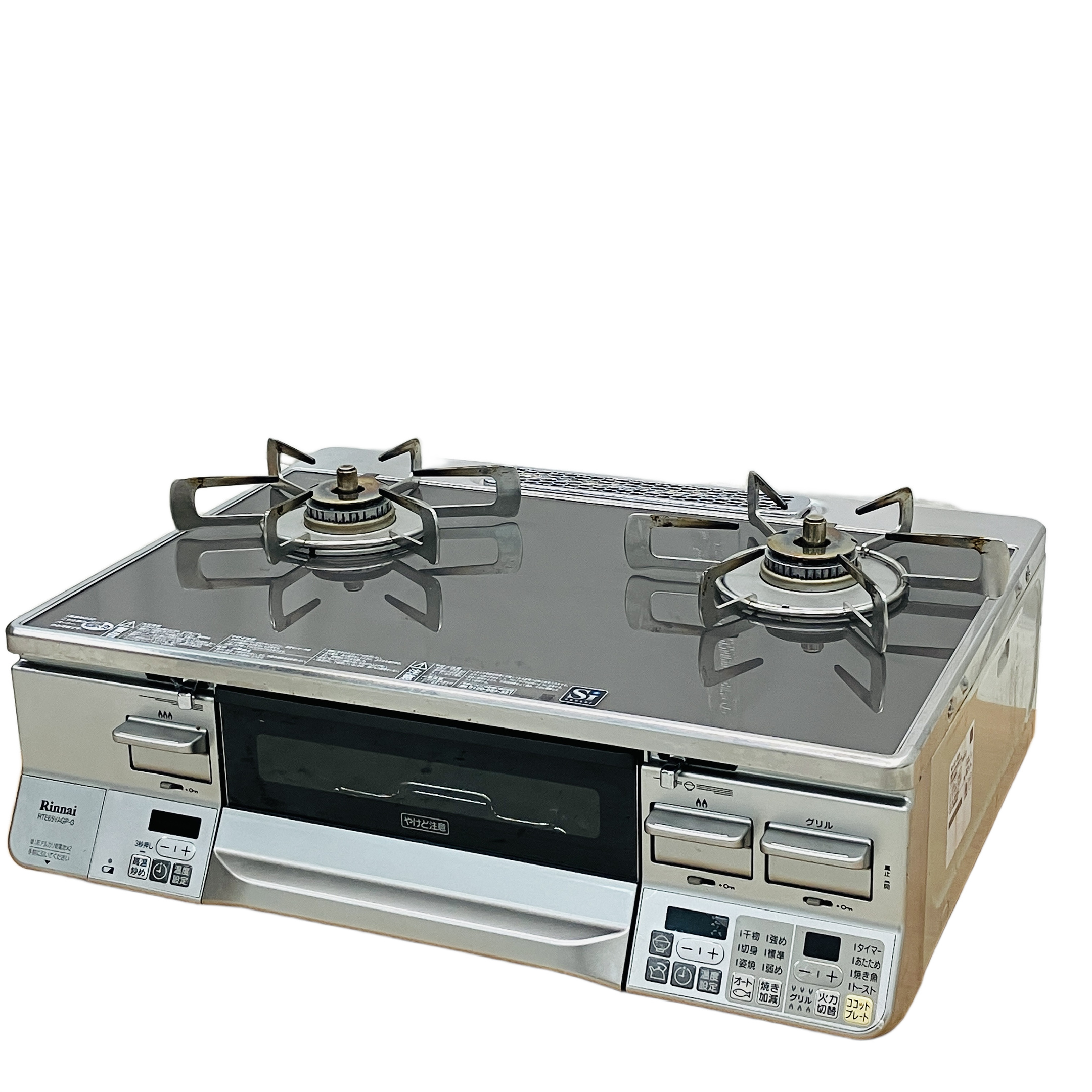 Rinnai RTE65VAGP-GL