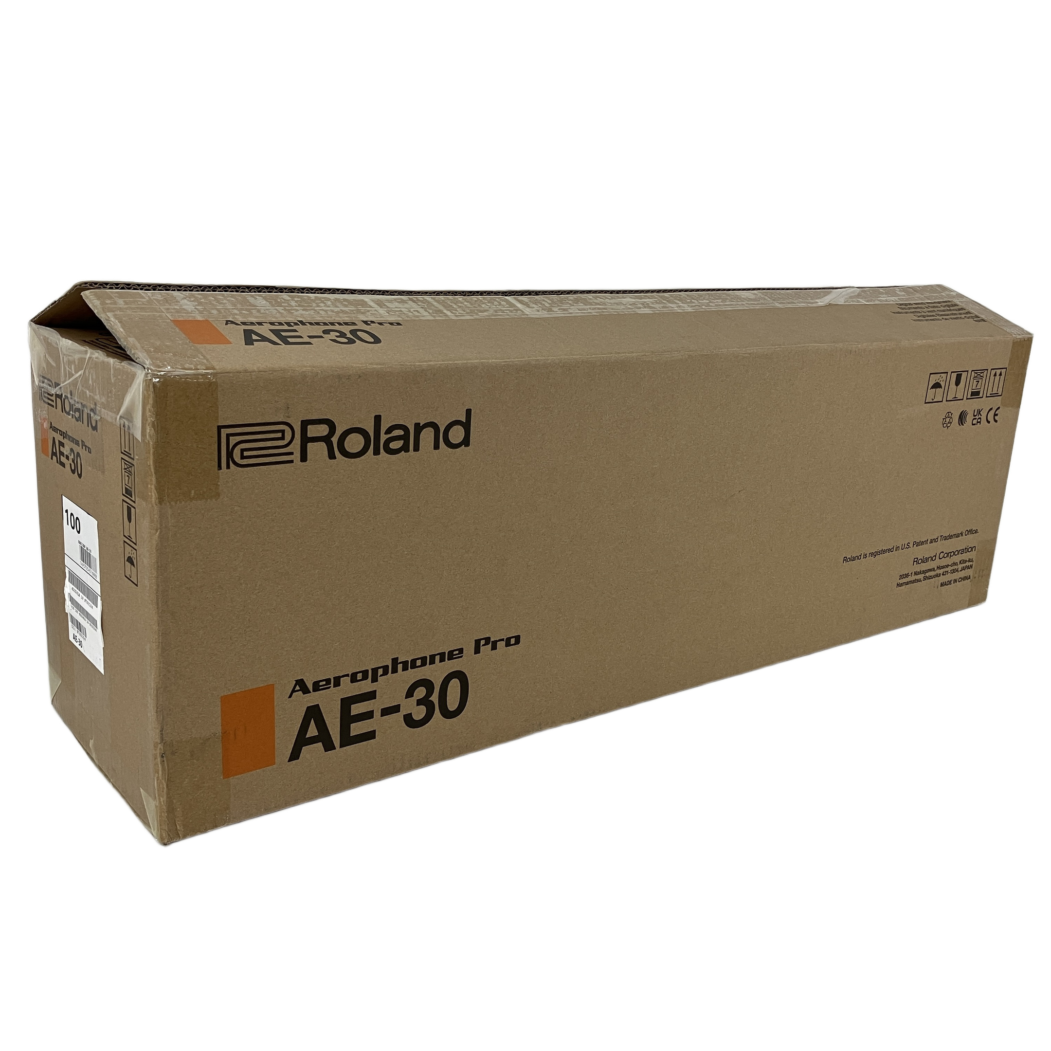 Roland   AE-30 