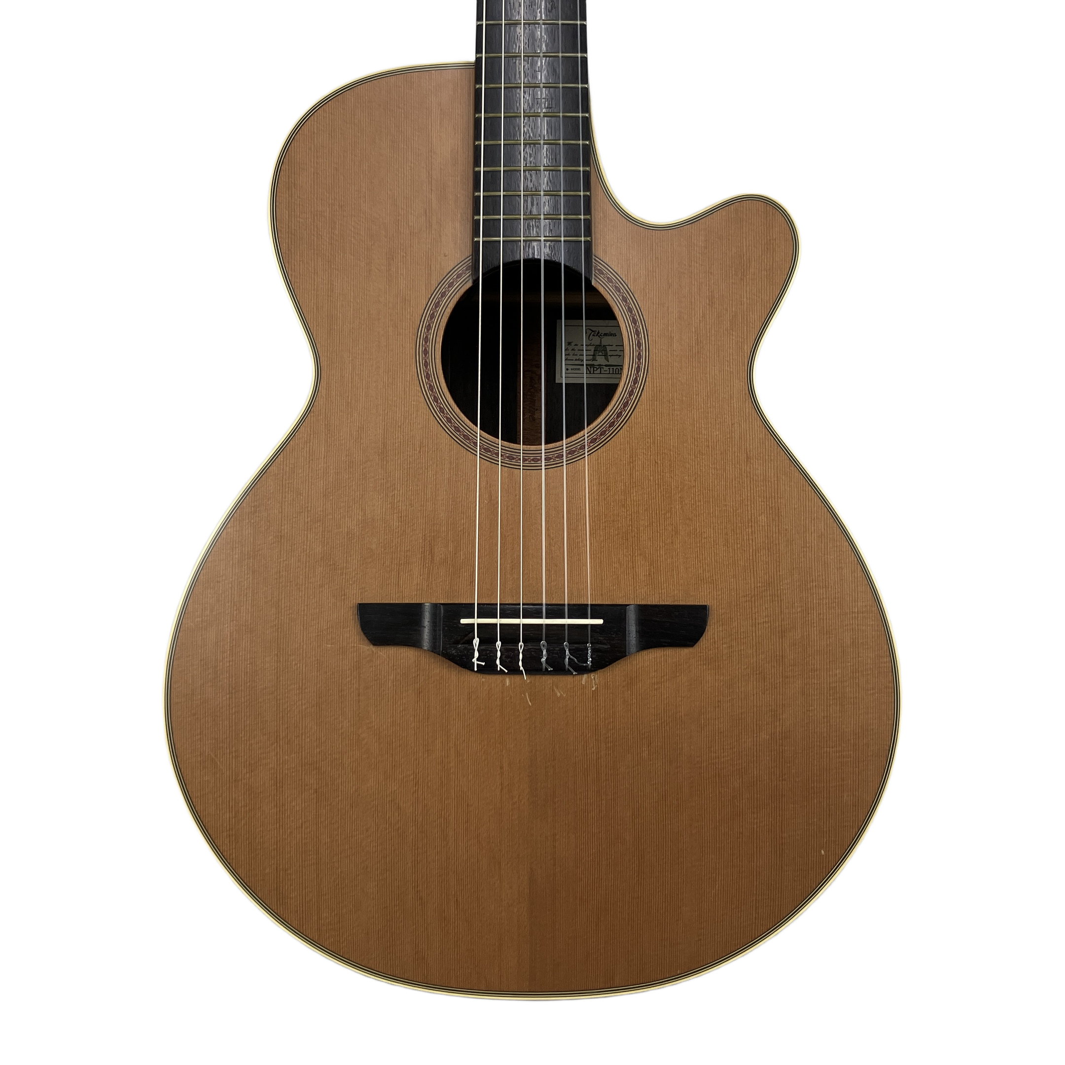 TAKAMINE  NPT-110N